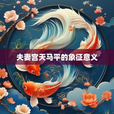 夫妻宫天马平的象征意义