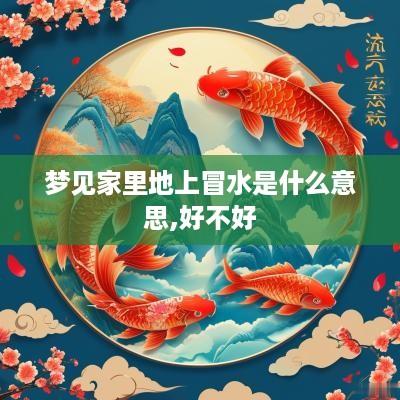 梦见家里地上冒水是什么意思,好不好