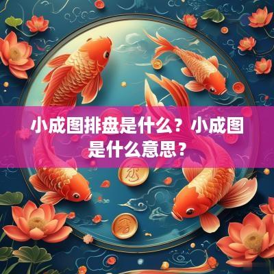 小成图排盘是什么？小成图是什么意思？