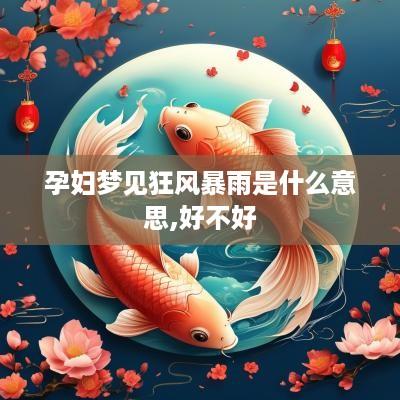 孕妇梦见狂风暴雨是什么意思,好不好