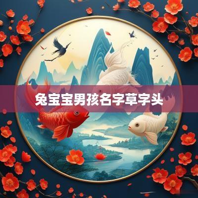 兔宝宝男孩名字草字头