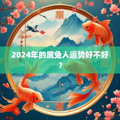 2025年的属兔人运势好不好？