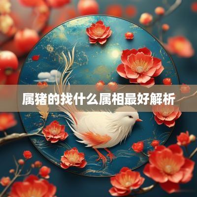 属猪的找什么属相最好解析