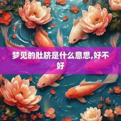 梦见的肚脐是什么意思,好不好