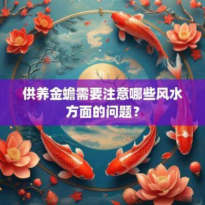 供养金蟾需要注意哪些风水方面的问题？