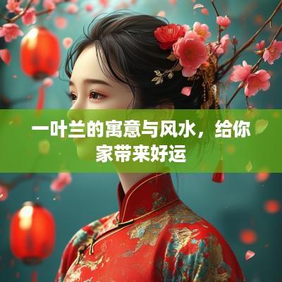 一叶兰的寓意与风水，给你家带来好运
