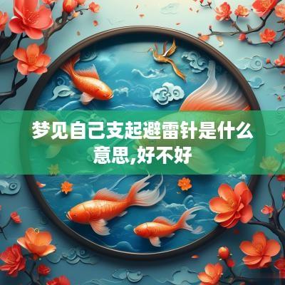 梦见自己支起避雷针是什么意思,好不好