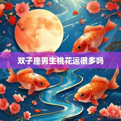 双子座男生桃花运很多吗
