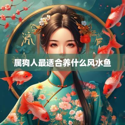 属狗人最适合养什么风水鱼