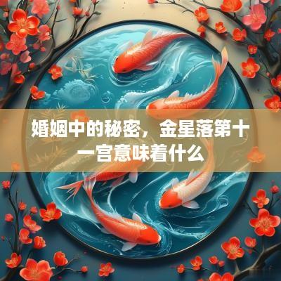 婚姻中的秘密，金星落第十一宫意味着什么