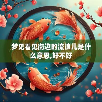 梦见看见街边的流浪儿是什么意思,好不好