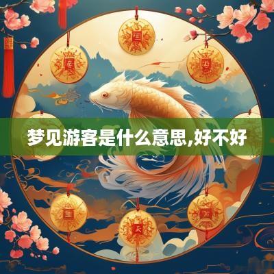 梦见游客是什么意思,好不好