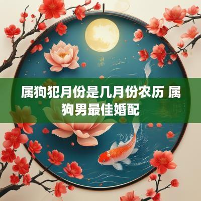 属狗犯月份是几月份农历 属狗男最佳婚配