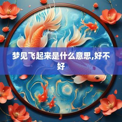 梦见飞起来是什么意思,好不好