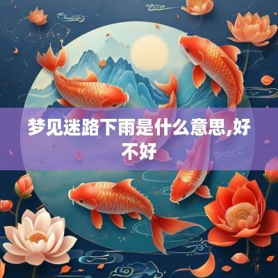 梦见迷路下雨是什么意思,好不好