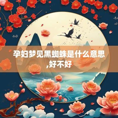 孕妇梦见黑蜘蛛是什么意思,好不好