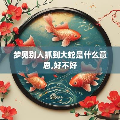 梦见别人抓到大蛇是什么意思,好不好