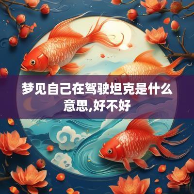 梦见自己在驾驶坦克是什么意思,好不好
