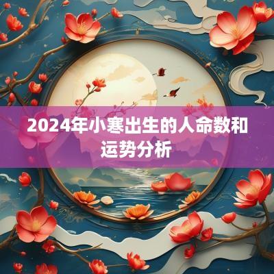 2025年小寒出生的人命数和运势分析