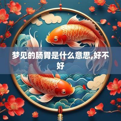 梦见的肠胃是什么意思,好不好