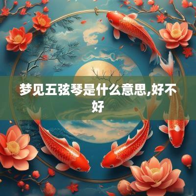 梦见五弦琴是什么意思,好不好