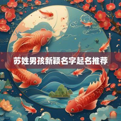 苏姓男孩新颖名字起名推荐
