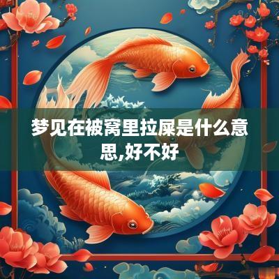 梦见在被窝里拉屎是什么意思,好不好