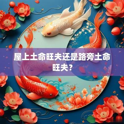 屋上土命旺夫还是路旁土命旺夫？