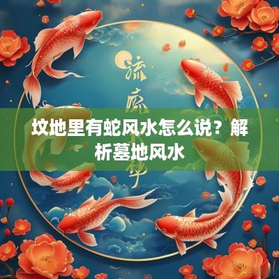 坟地里有蛇风水怎么说？解析墓地风水