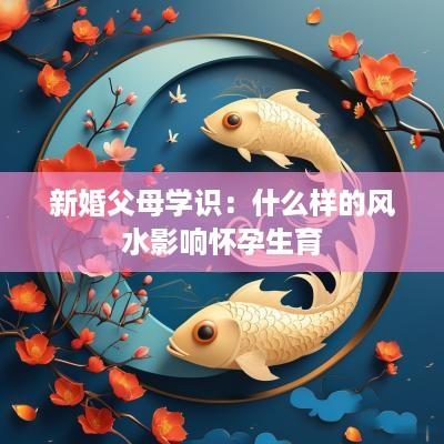 新婚父母学识：什么样的风水影响怀孕生育