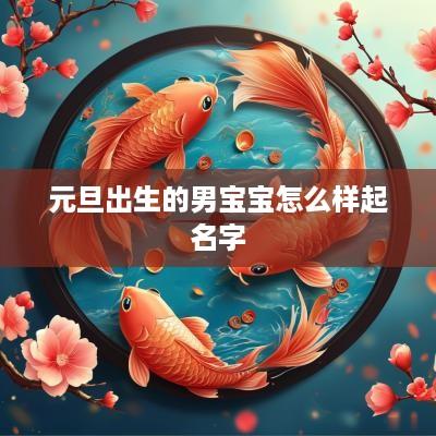 元旦出生的男宝宝怎么样起名字