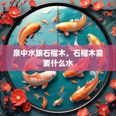 泉中水跟石榴木，石榴木需要什么水