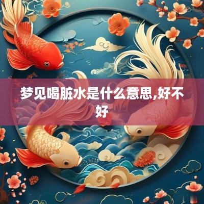 梦见喝脏水是什么意思,好不好