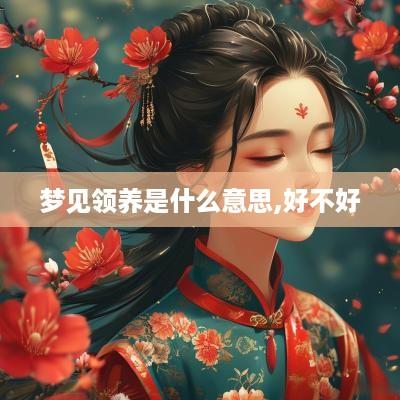 梦见领养是什么意思,好不好