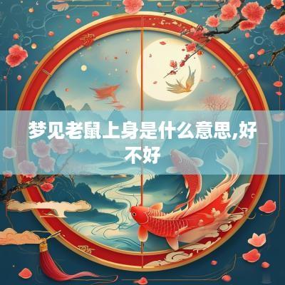 梦见老鼠上身是什么意思,好不好