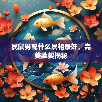 属鼠男配什么属相最好，完美默契揭秘