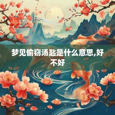 梦见偷窃汤匙是什么意思,好不好