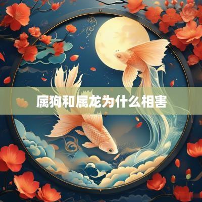 属狗和属龙为什么相害