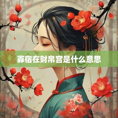 寡宿在财帛宫是什么意思
