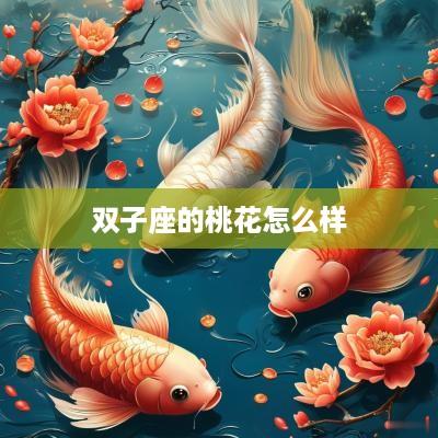 双子座的桃花怎么样