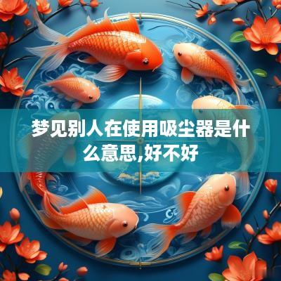 梦见别人在使用吸尘器是什么意思,好不好