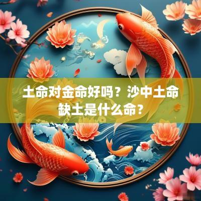 土命对金命好吗？沙中土命缺土是什么命？