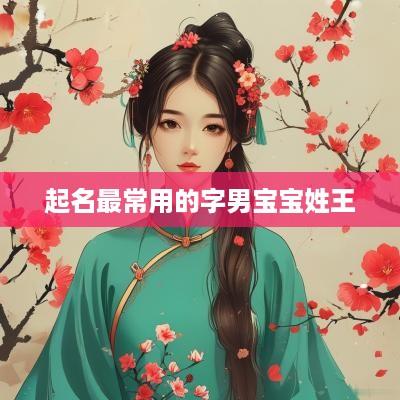 起名最常用的字男宝宝姓王