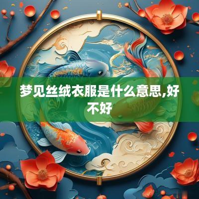 梦见丝绒衣服是什么意思,好不好