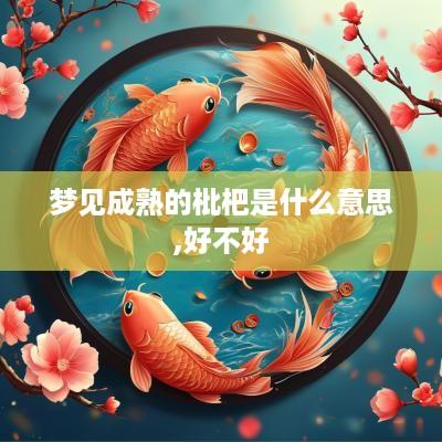 梦见成熟的枇杷是什么意思,好不好