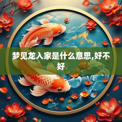 梦见龙入家是什么意思,好不好
