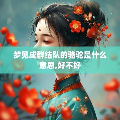 梦见成群结队的骆驼是什么意思,好不好