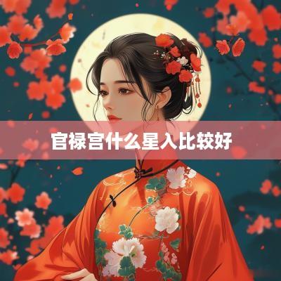 官禄宫什么星入比较好