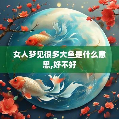 女人梦见很多大鱼是什么意思,好不好