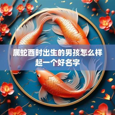 属蛇酉时出生的男孩怎么样起一个好名字